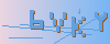 ֤